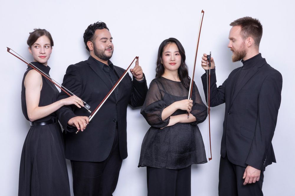 Beija-Flor String Quartet dressed black